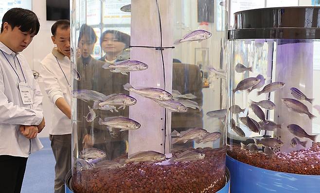 아시아 3대 수산종합전시회인 부산국제수산엑스포가 11월 6일 부산 해운대구 벡스코 제1전시장에서 개막해 관람객들이 전시된 생선과 수산물을 살펴보고 있다. 송봉근 기자.