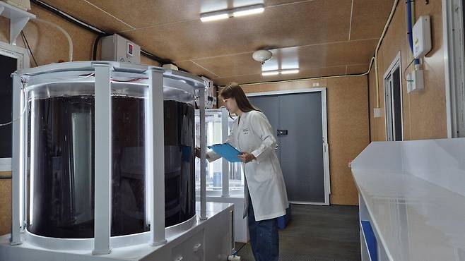 충북 오송 소재 풀무원기술원의 한 연구원이 ‘바이오리액터’로 불리는 큰 수조 안에서 재배되는 육상 양식 김을 살펴보고 있다. [사진 풀무원]