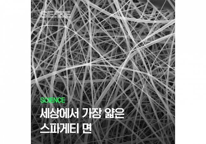 주사전자현미경으로 본 나노 스파게티 섬유. Beatrice Britton / Adam Clancy 제공