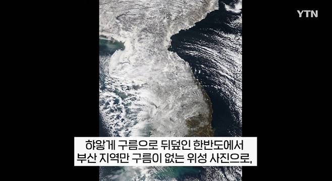 SmartSelect_20241129_194505_YouTube.jpg 한국의 캘리포니아 \'부산\'