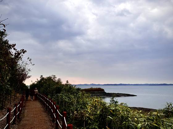 탐방객들이 홍성 죽도 둘레길을 걷고 있다. 죽도는 남당항에서 홍주호를 타고 15분이면 닿는다. 대인 1인당 운항료(왕복)는 1만원. 배편은 오전 9시, 10시(주말), 11시, 오후 1시, 2시, 4시. 김홍준 기자
