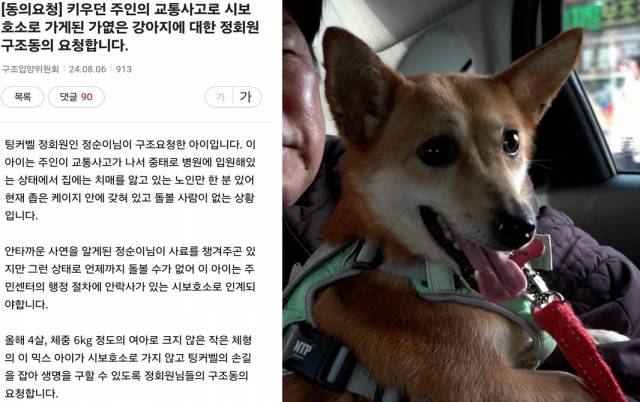 하나 뿐인 보호자가 질병, 사고, 사망으로 인해 돌볼 수 없게 된 무연고 동물은 시보호소로 이송돼 안락사 절차를 밟게 된다. 사연의 주인공 구슬이의 사연이 알려지자 동물구조단체 팅커벨프로젝트 회원들이 십시일반 구조 비용을 모았다.
