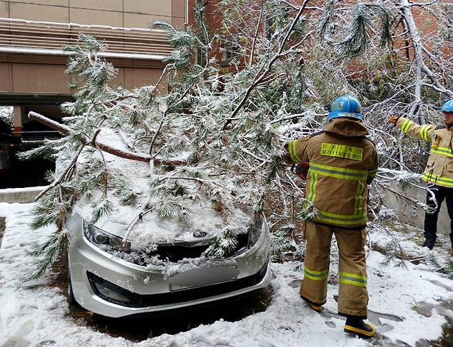 지난 27일 오전 인천시 계양구 귤현동 주차장에 승용차 위로 나무가 쓰러져 있다. 인천소방본부 제공