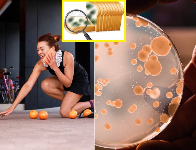 바닥에 떨어뜨린 음식을 3초 안에 주워 먹으면 안전할까요? [사진=클립아트코리아(왼쪽) / 게티이미지뱅크]