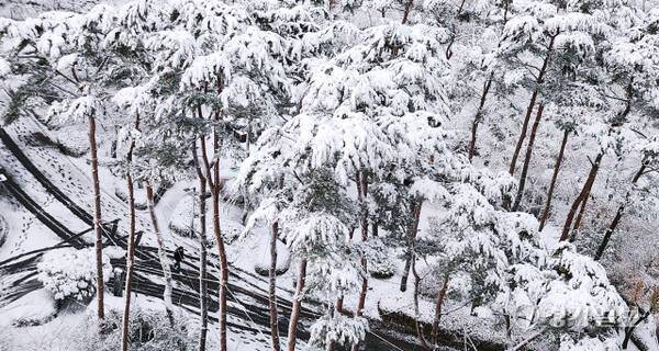 수도권 기록적인 폭설. 경기일보DB