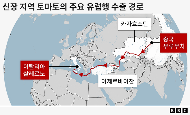 신장 우루무치 지역에서 재배된 토마토가 이탈리아 살레르노까지 수출되는 경로
