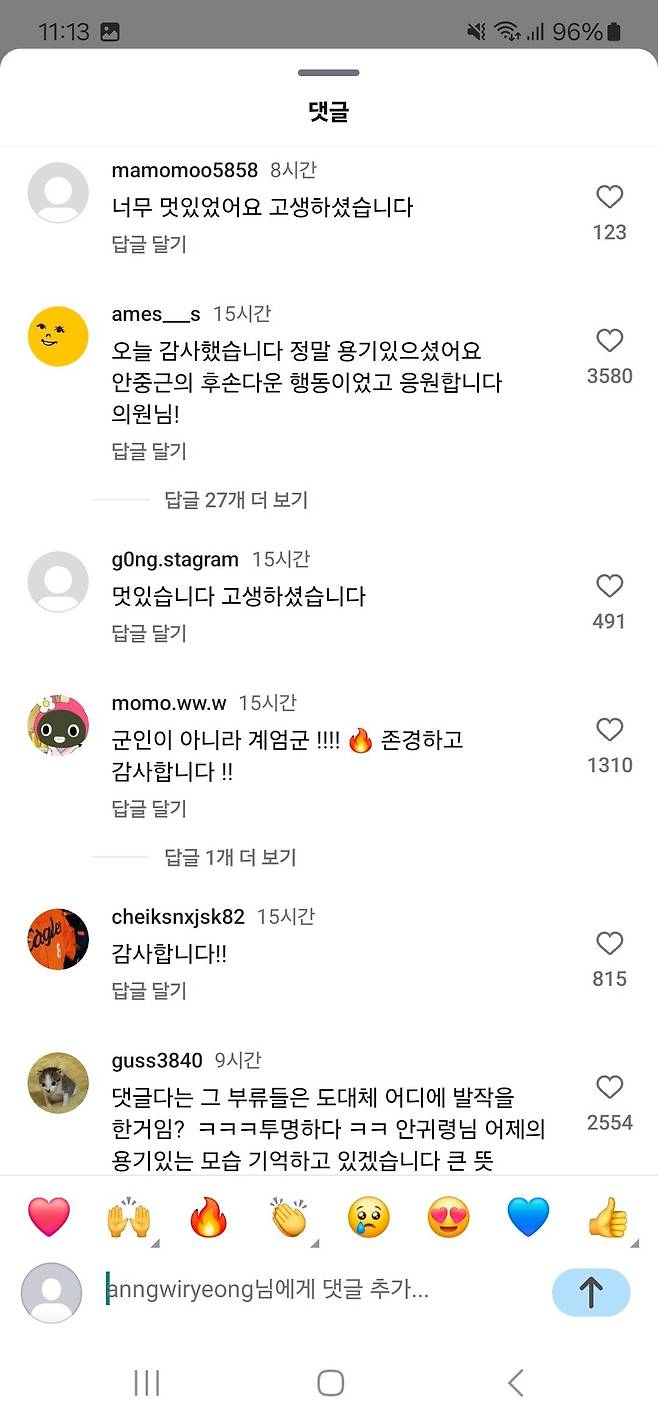 군인 총기탈취시도한 안귀령 인스타