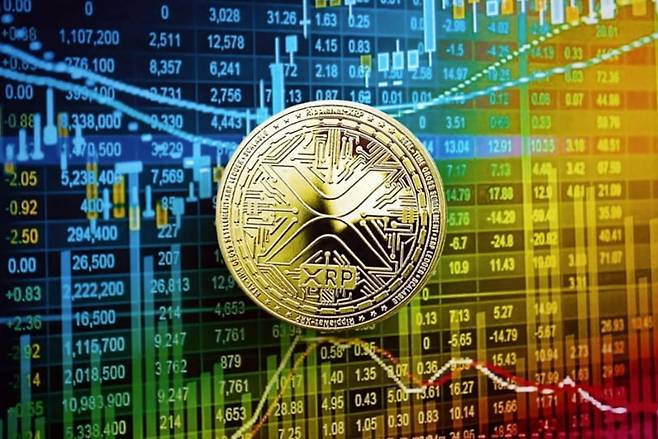 사진 = 셔터스톡