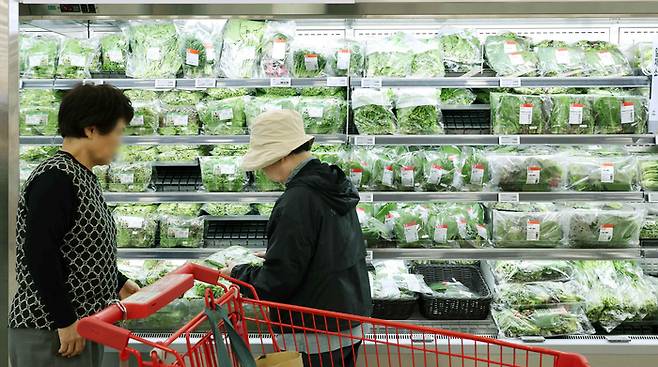 서울시내 한 대형마트. 기사와 직접적인 관련 없음. [매경DB]