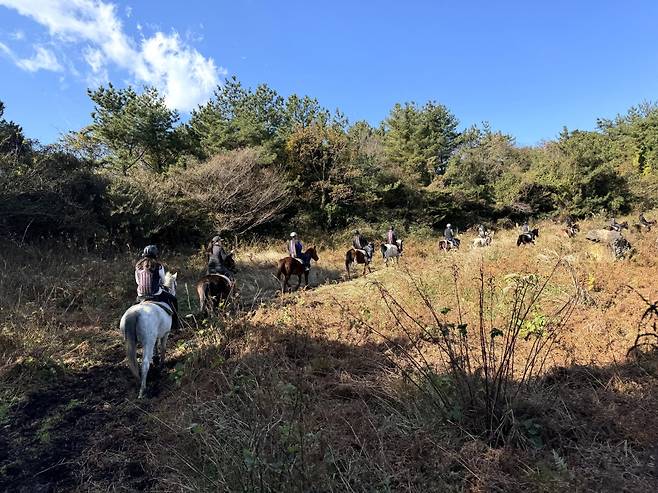 말타고 산길을 달리는 짜릿한 기분