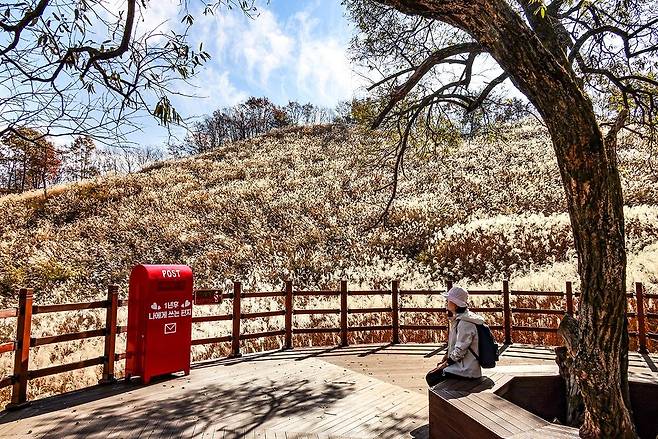명성산 억새밭에서의 휴식 [사진/백승렬 기자]