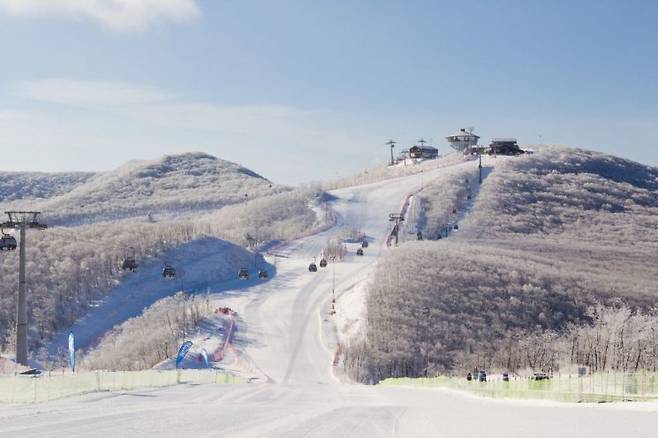 오는 6일 개장하는 강원도 정선 하이원 스키장 전경. 하이원리조트 제공