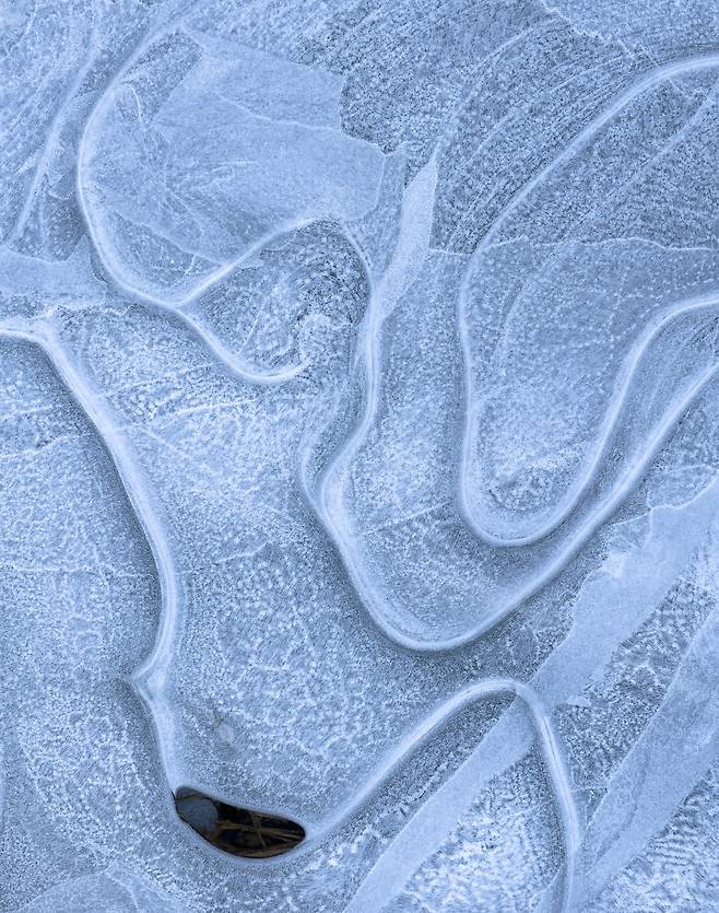 시골길 옆 얇게 언 도랑(Thin ditch ice along a country road) /앤드루 미엘진스키/2024 International Landscape Photographer of the Year - Photographer of the Year