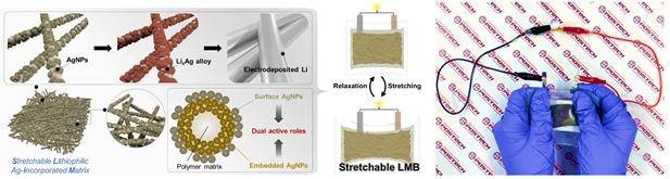 변형 가능한 리튬 호스트 구조 및 연신성 리튬 금속 전지 구동 사진
