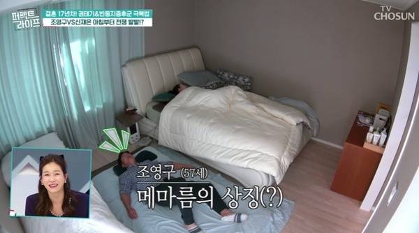 TV조선 ‘퍼펙트라이프’ 캡처