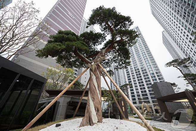 11월 21일 오후 서울 강동구 둔촌동 '올림픽파크포레온’의 모습. 1만 2032세대라는 방대한 규모가 압도적인 이곳은 단군 이래 최대 단일 아파트 단지로 꼽힌다. 단지 곳곳에서 만나본 35층 스카이라운지와 초호화 게스트하우스, 대규모 조경 등은 입주민의 기대감을 엿볼 수 있다. 2024.11.22/뉴스1 ⓒ News1 이재명 기자