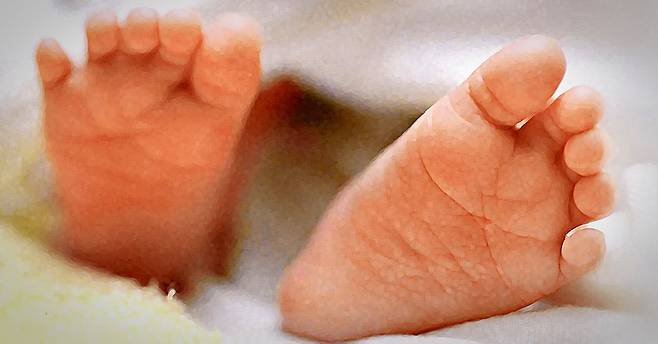 아기 발 자료사진. 중앙포토