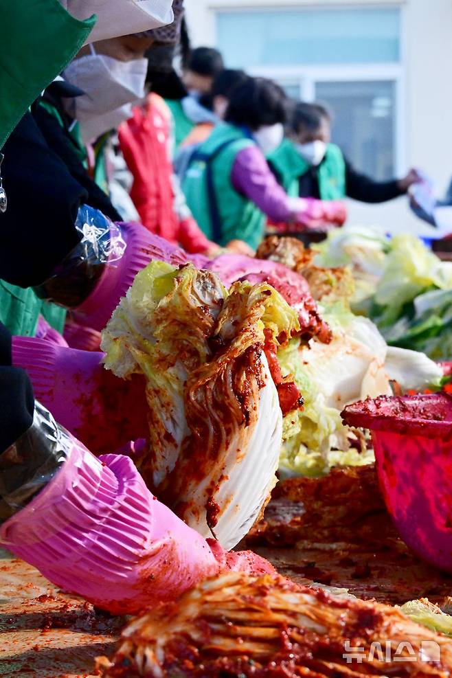 [남해=뉴시스] 차용현 기자 = 6일 오전 경남 남해군 서면행정복지센터에서 지역 새마을남녀지도자들이 사랑의 김장김치 담그기 행사를 진행하고 있다. 이날 새마을 지도자들은 손수 담근 1000여포기의 김장김치를 취약계층 가정에 전달했다. 2024.12.06. con@newsis.com