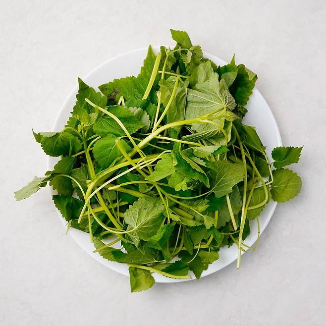 방아잎. /인터넷 캡처