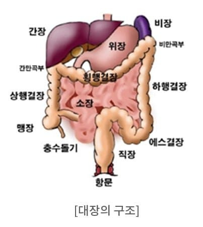 38b3de27e8d73ce864afd19528d52703819eab9b6c61