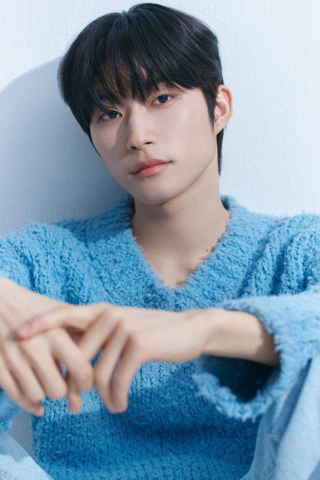 ⓒ