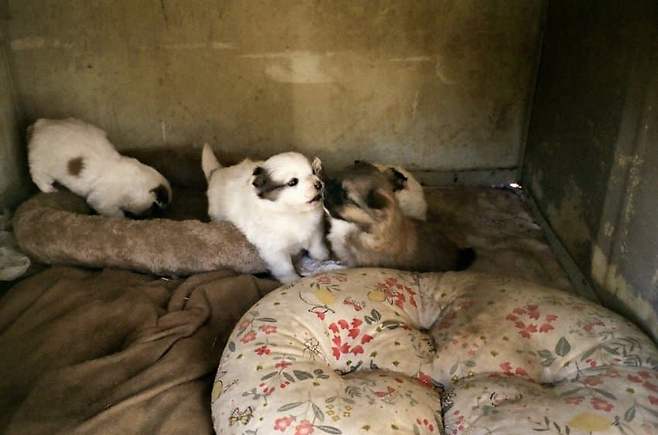 3fb8c32fffd711ab6fb8d38a4580736eb30b5130e6325a02db943879a666d2629046cd61b4be3142fb421ec305