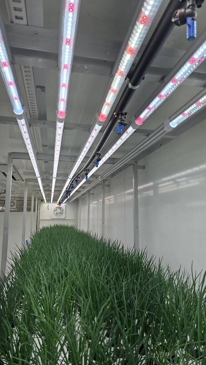 [대전=뉴시스] 이엔후레쉬의 쪽파 재배용 스마트팜 컨테이너 내부 모습. *재판매 및 DB 금지