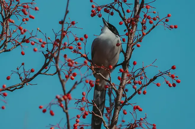 098ef319b7856df720a8d3b706f11a39a22342403f73ddf1a2