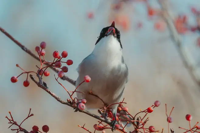 098ef319b7856ff520a8d3b706f11a39b878b5b912a3b15a42