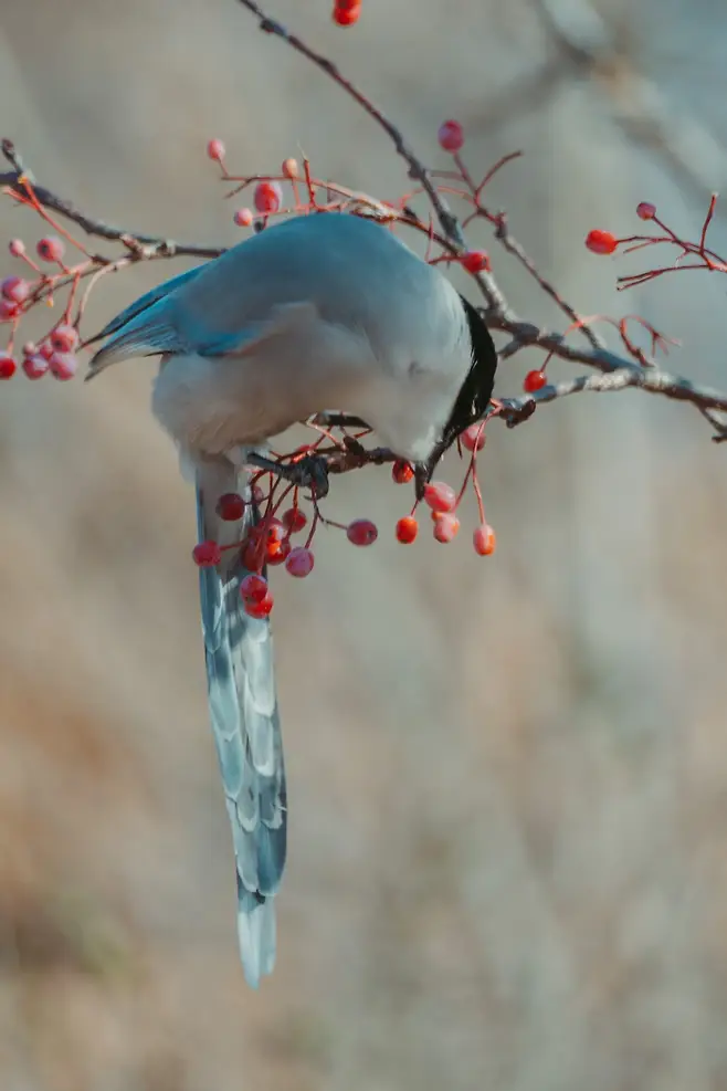 098ef319b78560fe20a8d3b706f11a390ccbe396a51ae499d7