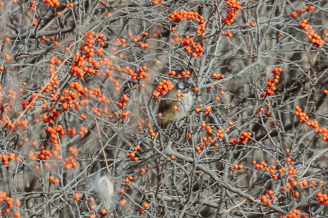 098ef319b6826bf220a8d3b706f11a39b6470a36743f07b84ed2