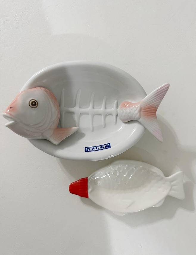 일본 회접시 탐나네