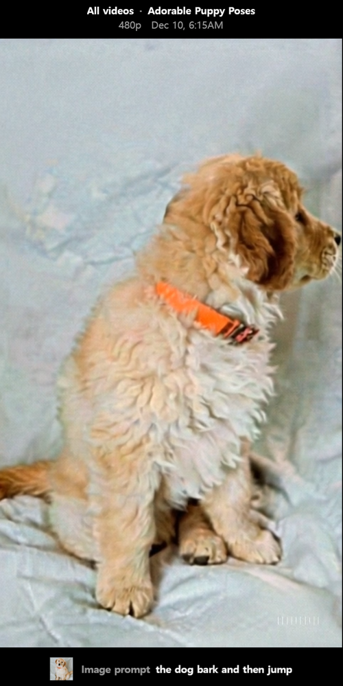 강아지 이미지를 첨부하고 ‘the dog bark and then jump(강아지가 짖고 점프한다)’는 프롬프트를 넣으니 만들어진 영상. <이덕주 기자>