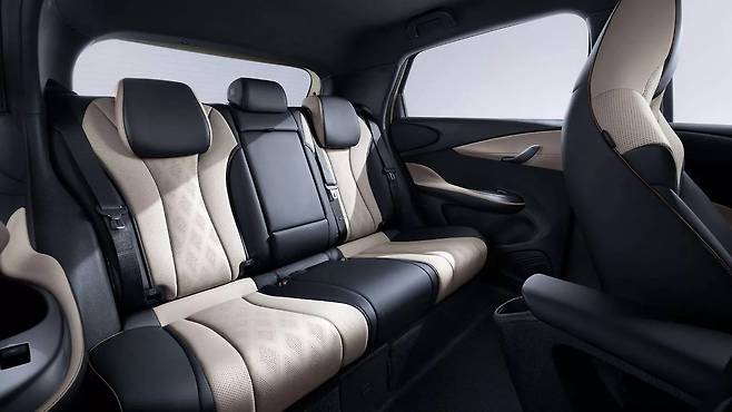 BYD 돌핀