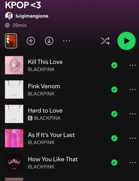 미 건보사 CEO 살해 용의자 루이지 만조니의 스포티파이 플레이 리스트. 엑스(X) 캡처