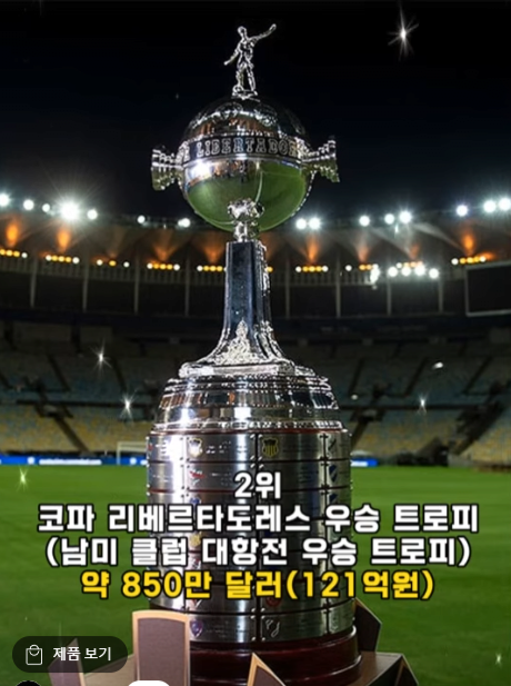 2위.png 전세계에서 가장비싼 축구트로피 순위