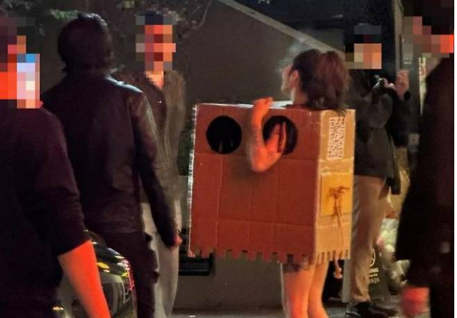 알몸에 박스만 걸친 채 행인들에게 자신의 신체를 만지도록한 20대 여성이 1심에서 벌금형을 선고받았다. /사진=온라인 커뮤니티 캡처