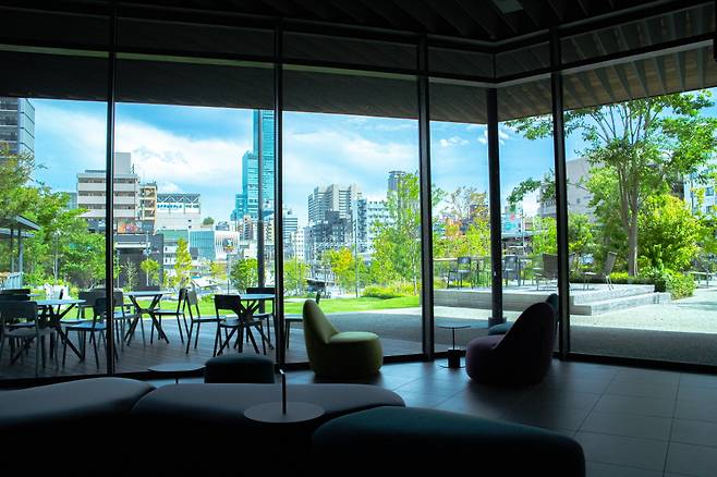 창밖 너머 잔디 정원 미야그린이 보인다