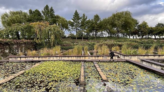 서울 영등포구 선유도공원의 오후. 내가 있는 곳에 내가 있기를. 배정한 제공