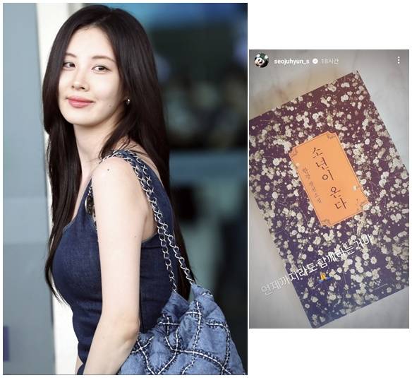 소녀시대 서현/사진=머니투데이 DB, 서현 인스타그램