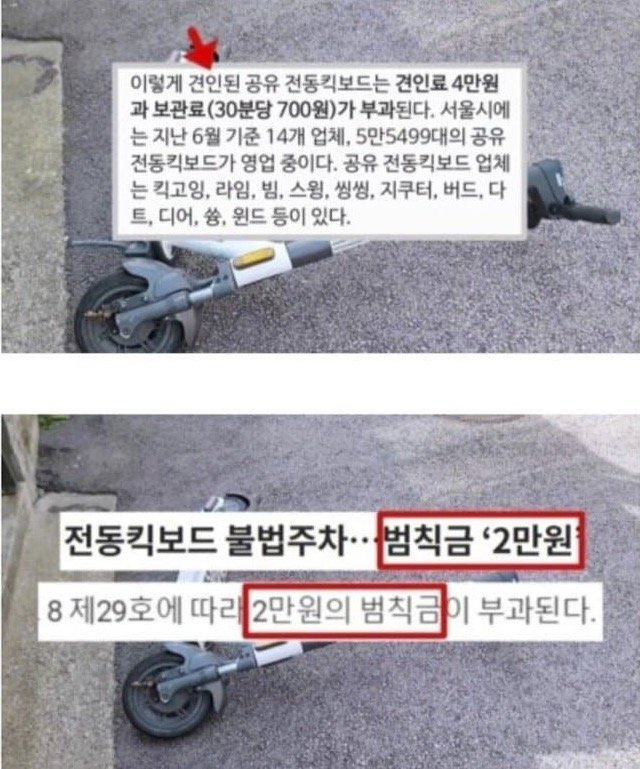 길거리 전동킥보드 신고하는 방법.jpg