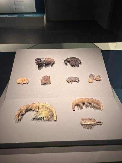 국립경주박물관의 특별전 '소소하고 소중한'(2025년 3월 9일까지)에서 선보이고 있는 고대 신라인의 빗들. 경주=강혜란 기자