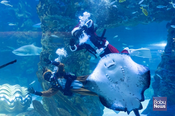 메인수조에서 행복한 크리스마스 인사를 전하는 아쿠아리스트들 ⓒ롯데월드