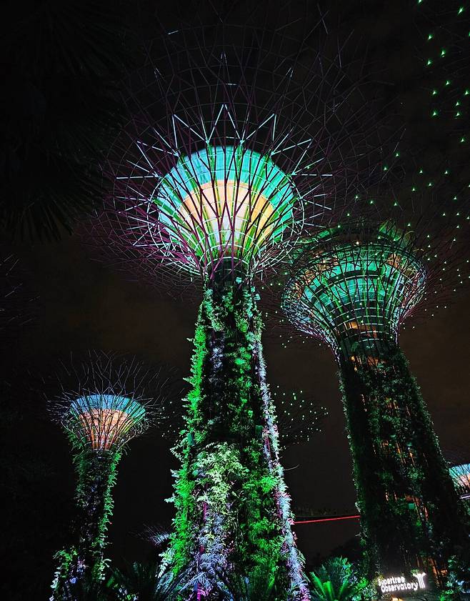 SE-45ac2b52-9d69-4909-8e5b-957b702d71ff.jpg (사진 많음, 글 많음) 처음 올려보는 먹부림 - 대만, 싱가폴, 일본