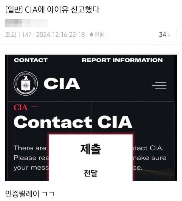 아이유를 CIA에 신고했다는 글이 올라왔다. 온라인 커뮤니티 캡처