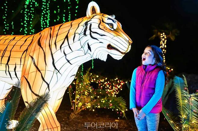 LA동물원 ⓒL.A. Zoo Lights/사진제공-로스앤젤레스관광청