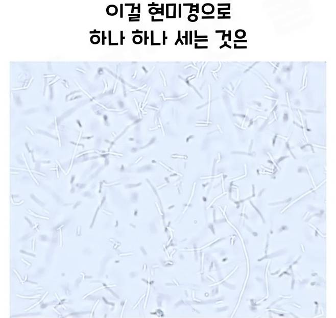 Screenshot_20241218_182900_Video Player.jpg 요구르트 유산균 수를 세는 방법.jpg