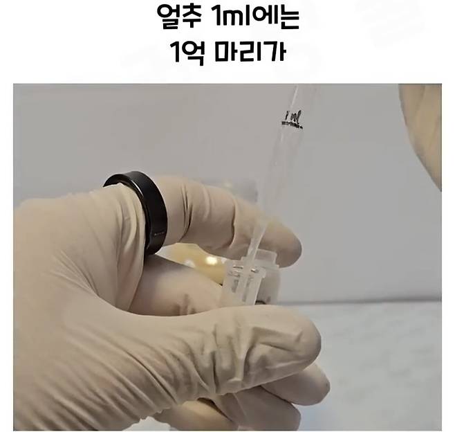 Screenshot_20241218_182925_Video Player.jpg 요구르트 유산균 수를 세는 방법.jpg