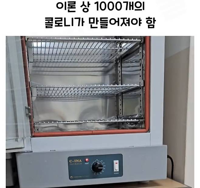 Screenshot_20241218_183054_Video Player.jpg 요구르트 유산균 수를 세는 방법.jpg