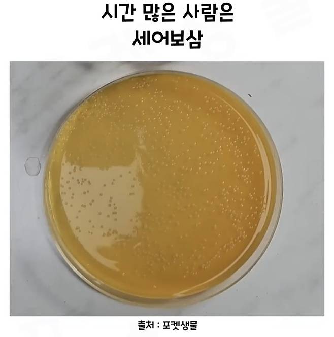 Screenshot_20241218_183106_Video Player.jpg 요구르트 유산균 수를 세는 방법.jpg